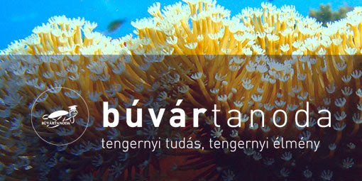 buvártanoda