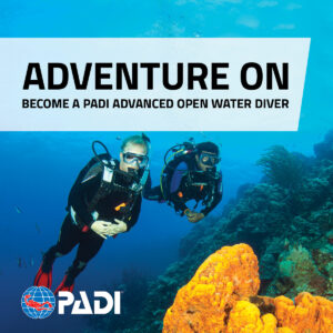 PADI Haladó búvártanfolyam (Advanced Open Water Diver - AOWD)
