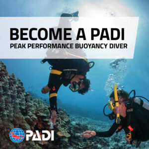 PADI Tökéletes lebegőképesség tanfolyam (Peak Perfomance Buoyancy - PPB)